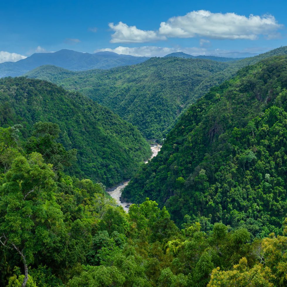 Experience | Skyrail