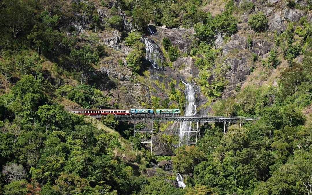 Kuranda Day Tour