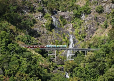 Kuranda Day Tour