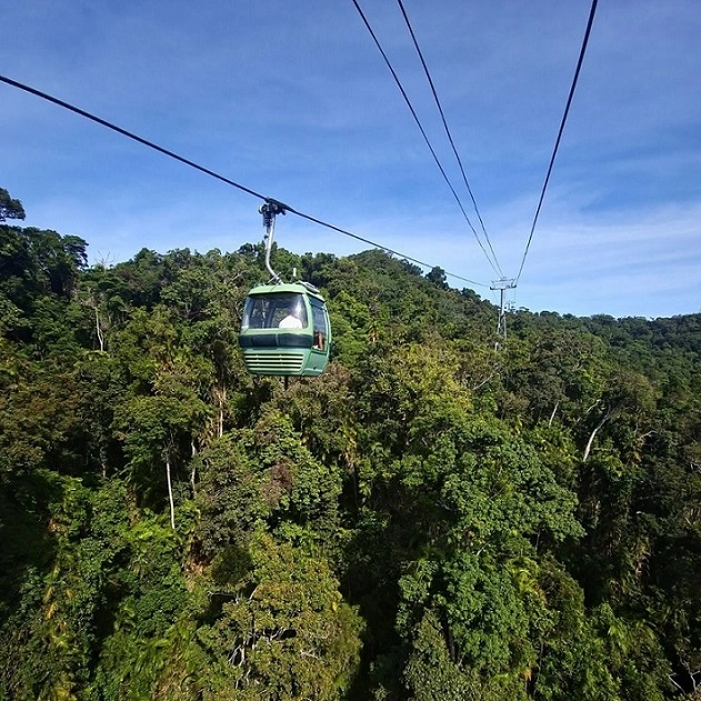 Skyrail gondola over barron gorge national park with rainforest as  far as you can see