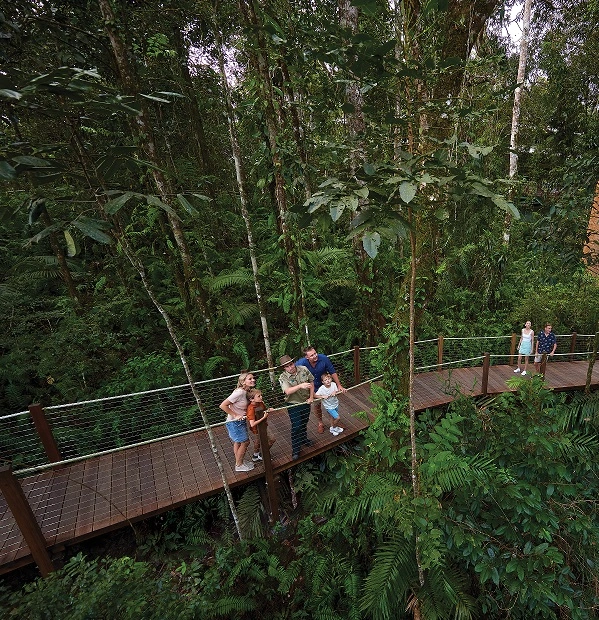 Male Ranger stands on the Red Peak boardwalk with a young family, surrounded by dense rainforest