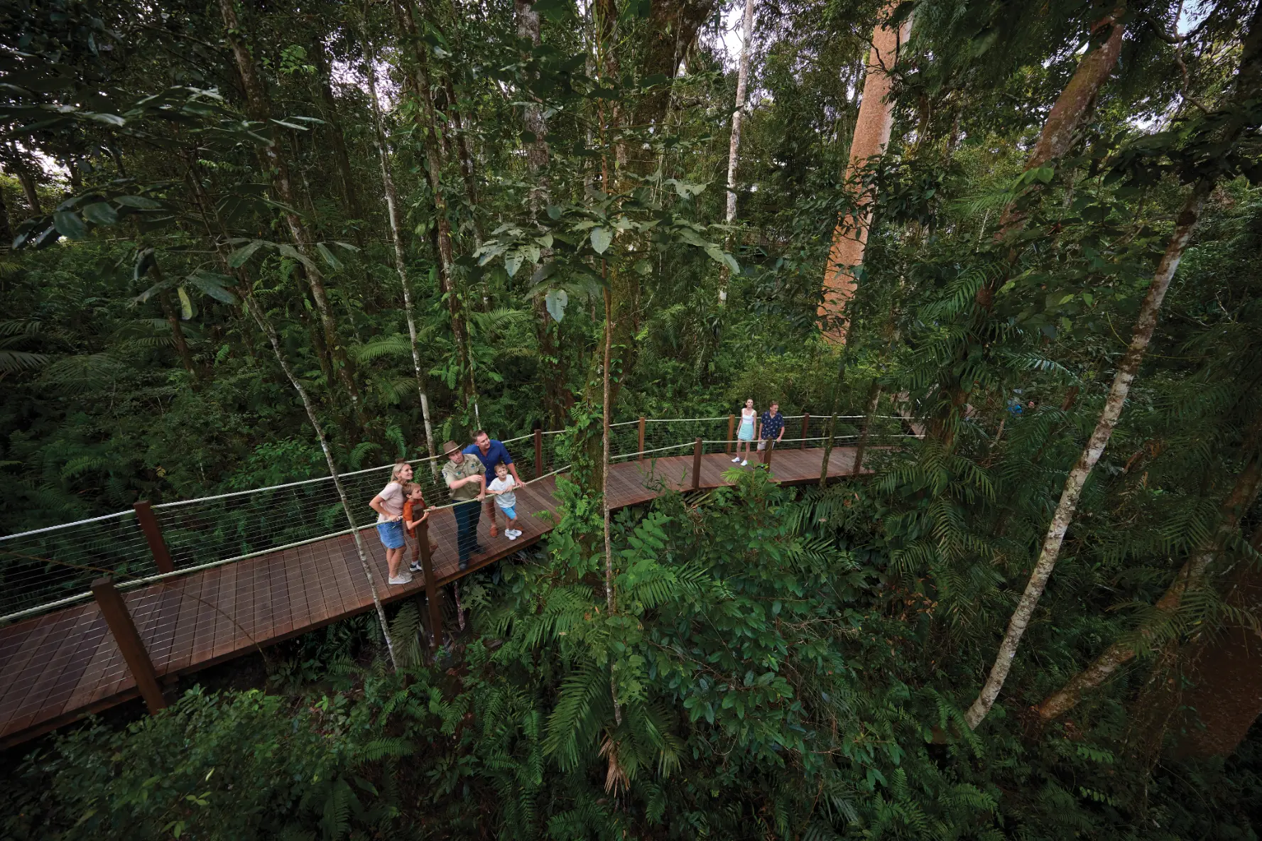 Family on the wooden boardwalk surrounded by dense rainforest