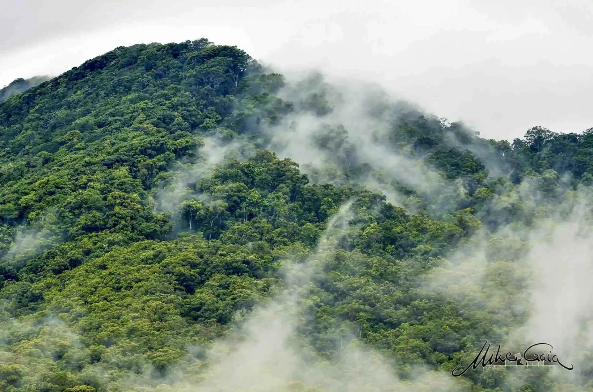 Moisture rises into the sky from the green rainforest canopy