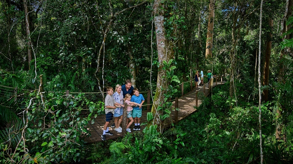 A family stands on a boardwalk surrounded by dense rainforest