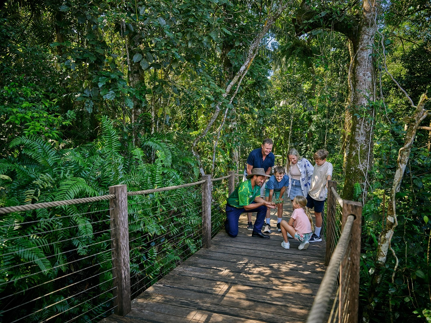 Ranger kneels down on the boardwalk to show 3 children some berries from the rainforest