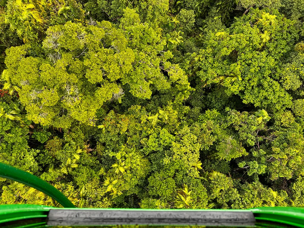 Looking down over green rainforest canopy from a skyrail gondola