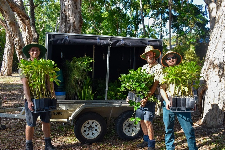 3 Skyrail rangers holding arm fulls of small seedlings for planting