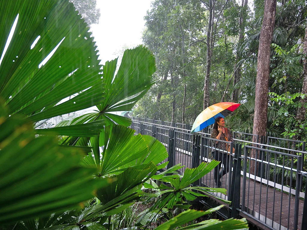 A lady with a bright multi coloured umbrella walks along the edge lookout. There is giant bright green fan palms in the foreground and it is raining heavily. The area is covered in mist.