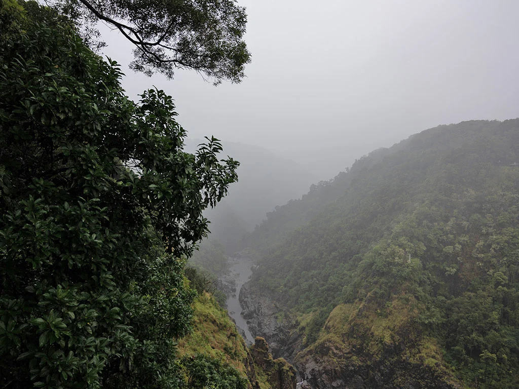 Looking down Barron Gorge from high at the Edge lookout. The Gorge is covered in mist and it's raining heavily