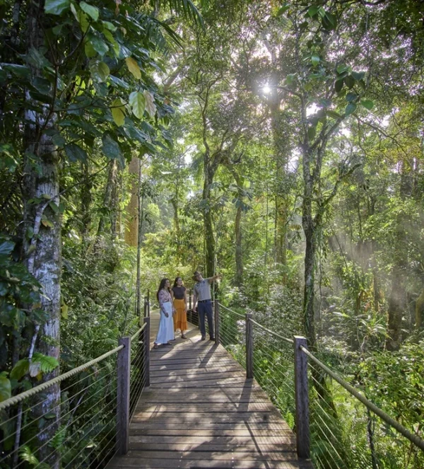 A Skyrail ranger escorts two women along the Red Peak boardwalk