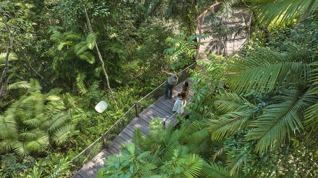 A Skyrail Ranger and two women stand on the Red Peak boardwalk surrounded by dense rainforest