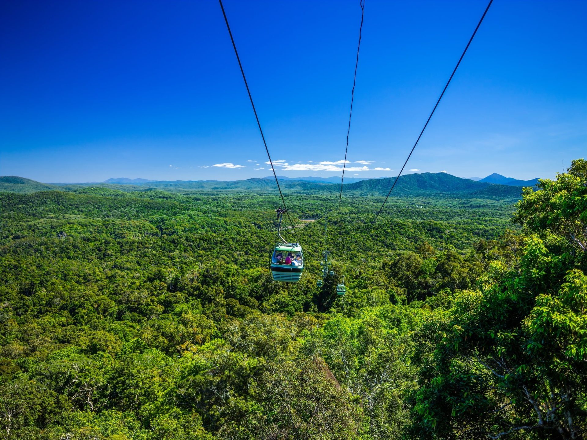 Skyrail-Rainforest-Cableway-Gondola over rainforest with clear blue sky