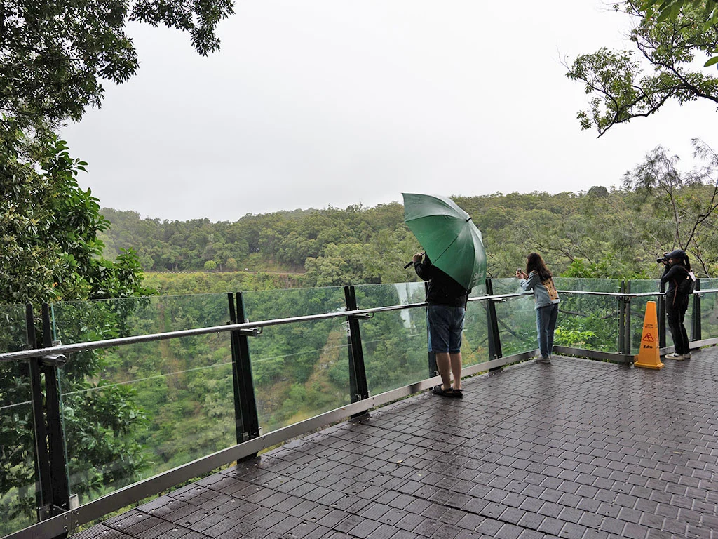 A man stands at the glass rails of the Edge lookout with a large green umbrella. Surrounded by green rainforest and cloudy rainy skies